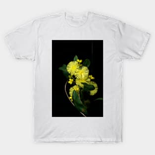 Spring Is Coming T-Shirt